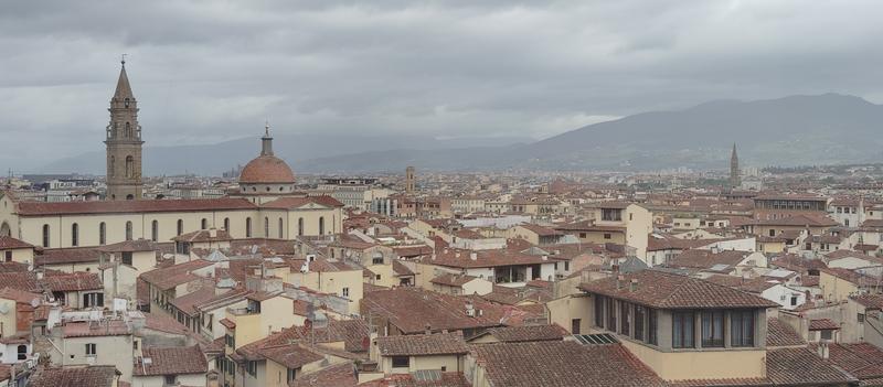 Florencia, Bolonia y Forli: Palacio Pitti, Biblioteca Laurenziana, el David etc - Roma (Hokusai), Florencia, Bolonia y Forli (106)