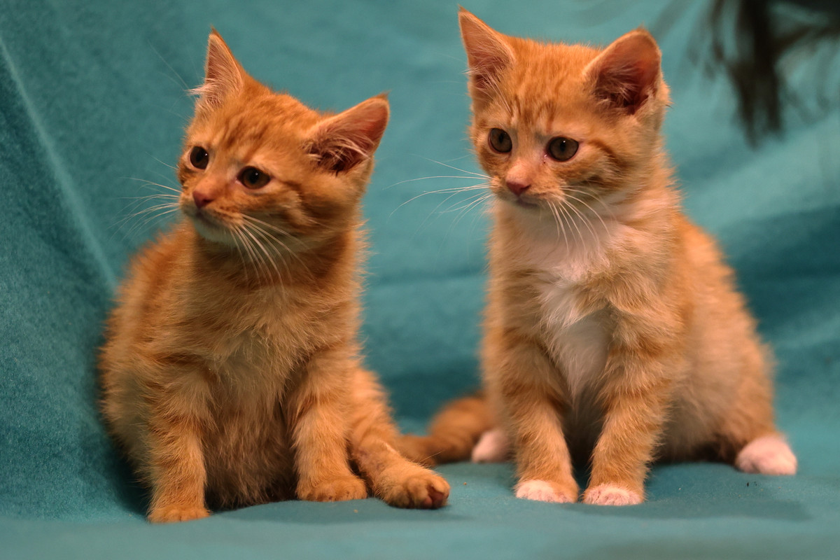 FD8266B0-EE3B-4DCC-8F97-65906DBBE8E3