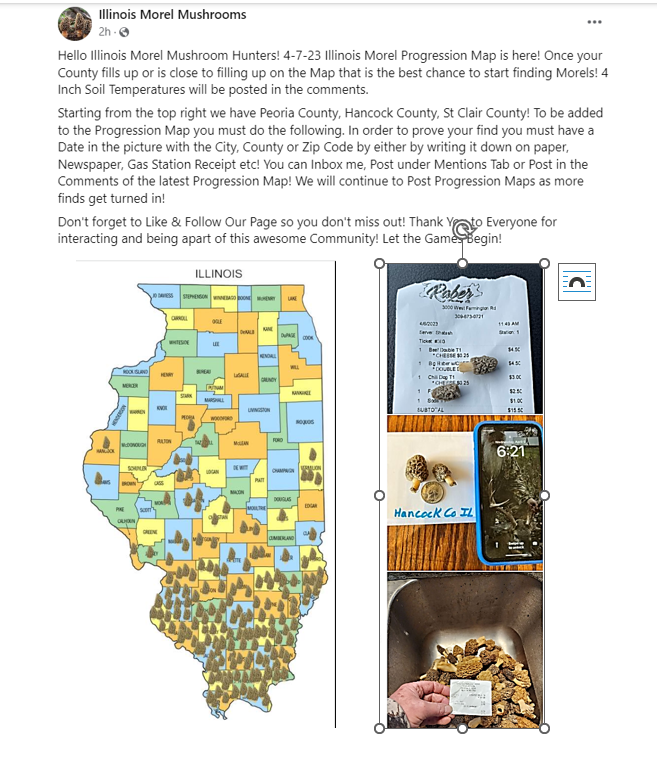 IL MOREL FB PAGE 04 07 2023