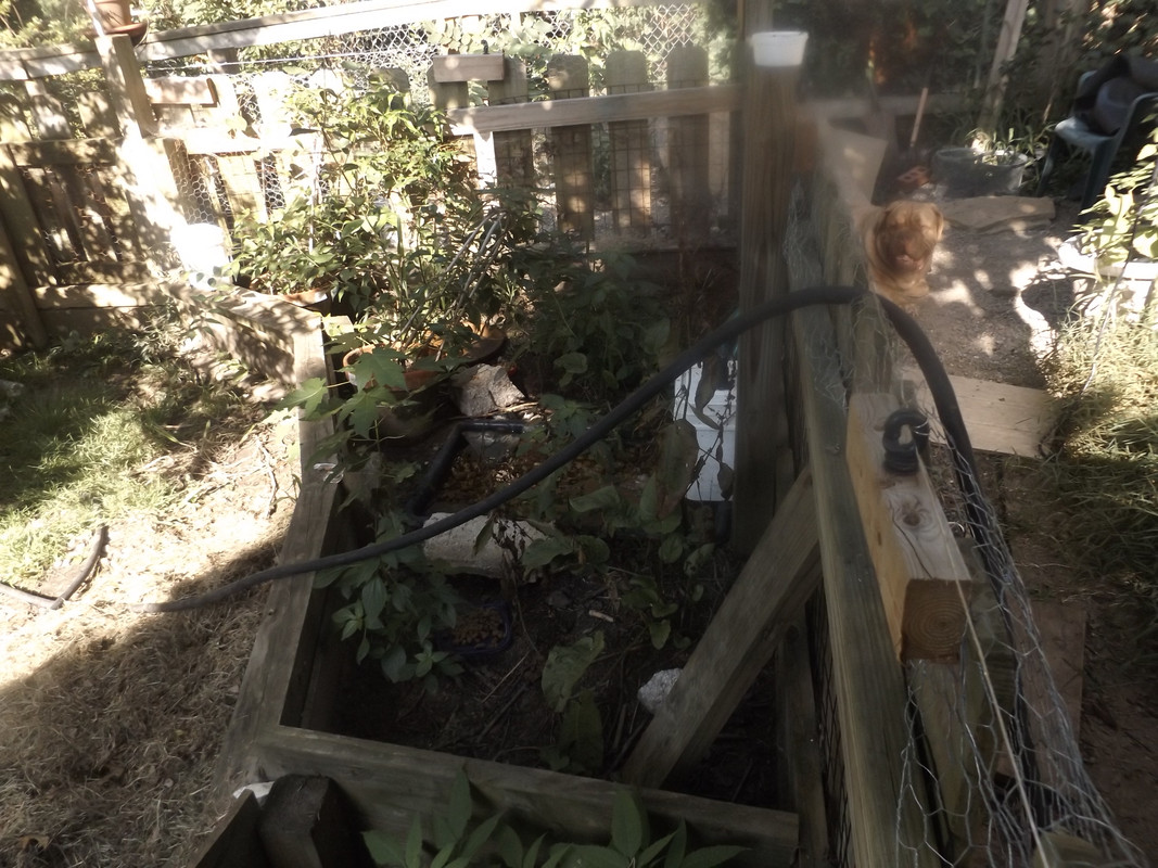 DSCF6580.jpg