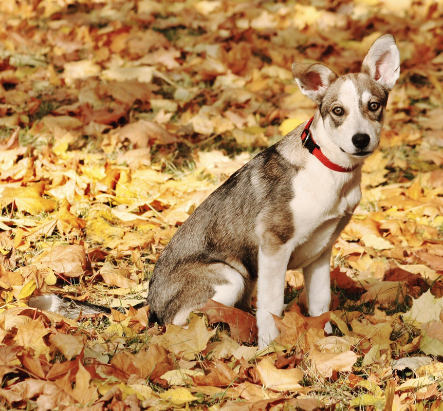 84A0AD52-FD25-45C5-8245-33D98BC9B930