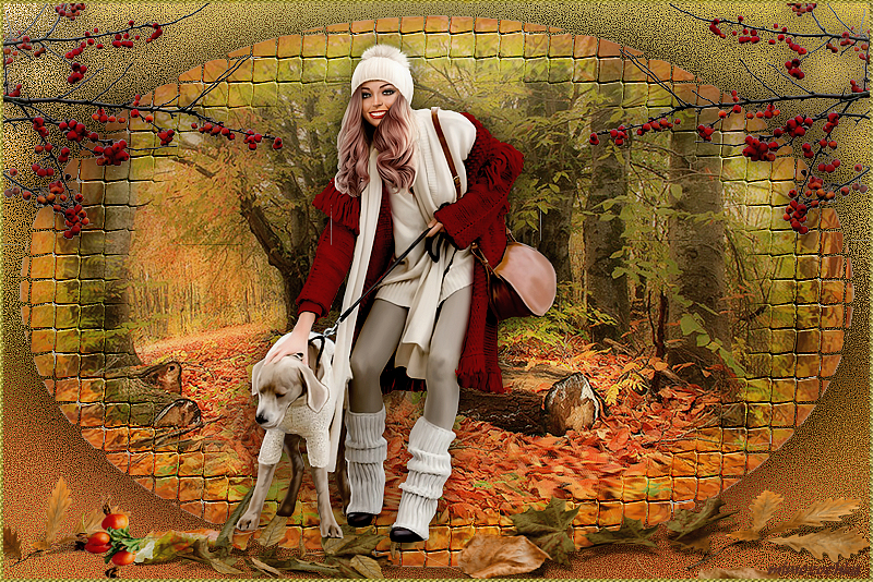 Прогулка по лесу