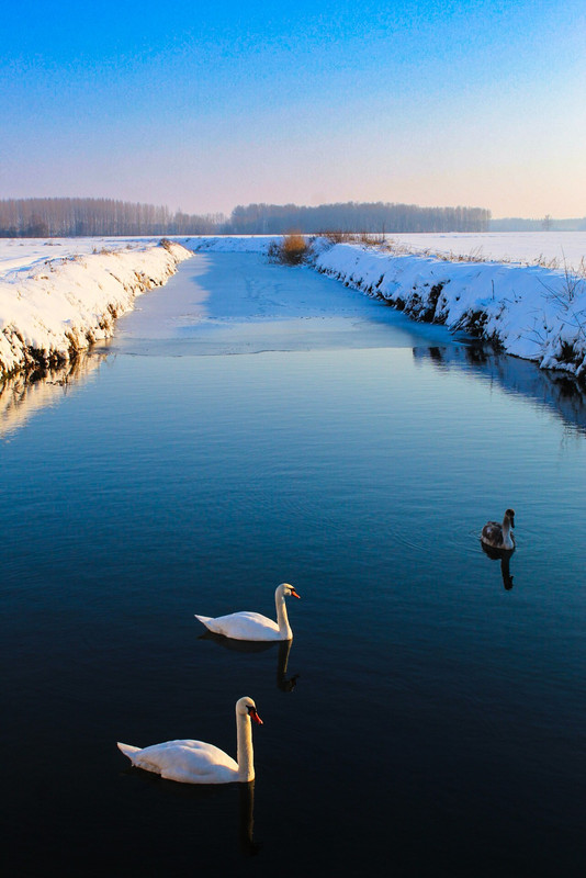 613760905-1996687367943429-7991411181493