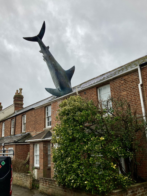 25FE620B-36F2-44C0-95DC-8721BF0900AB