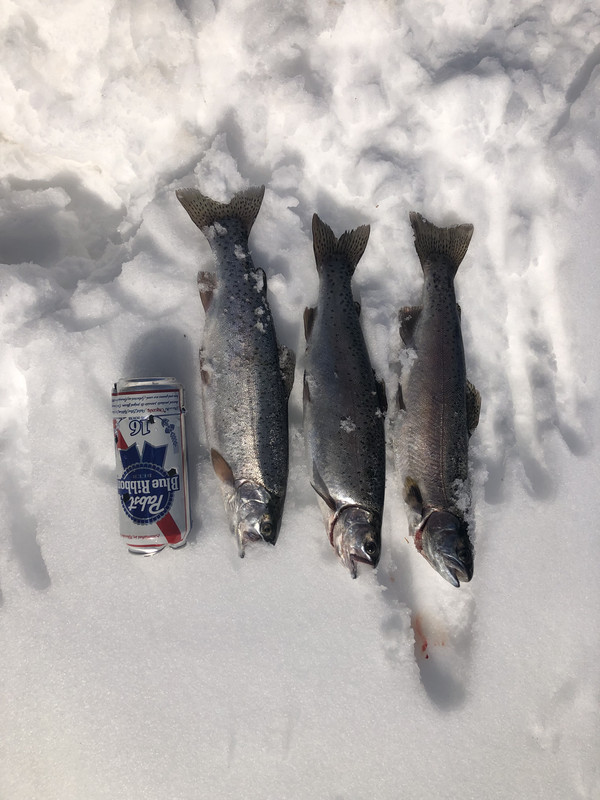 551A2B6C-4CAC-4C54-93DB-E653B8DC5A56