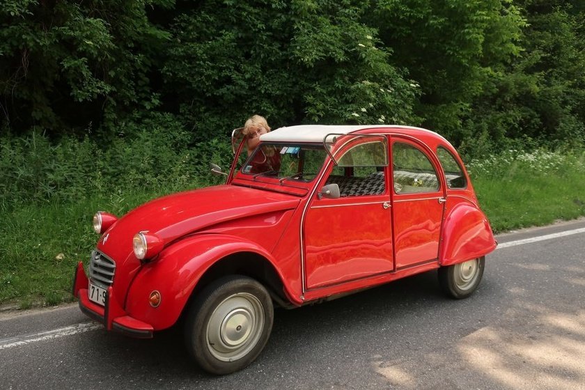 Travnik2019