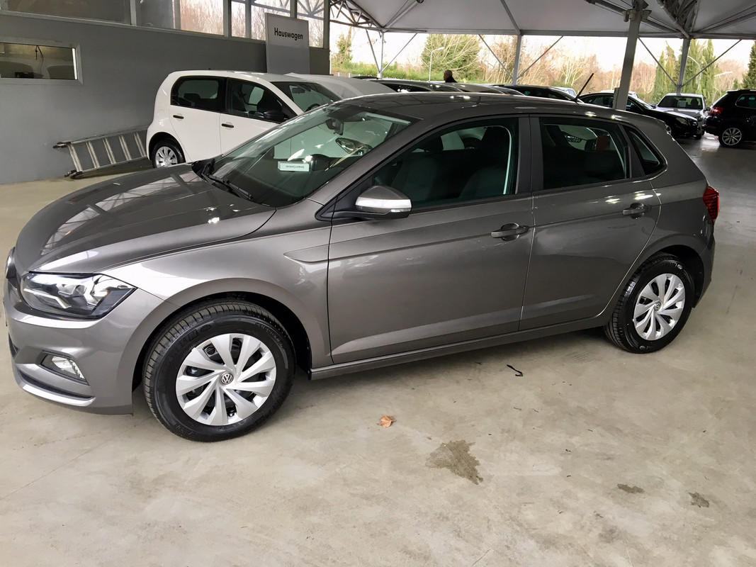 Polo1