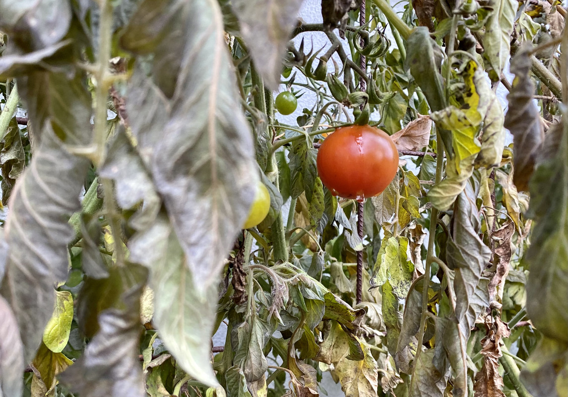 15123FCF-1F80-4A42-B6AB-308AF4A5BCE3