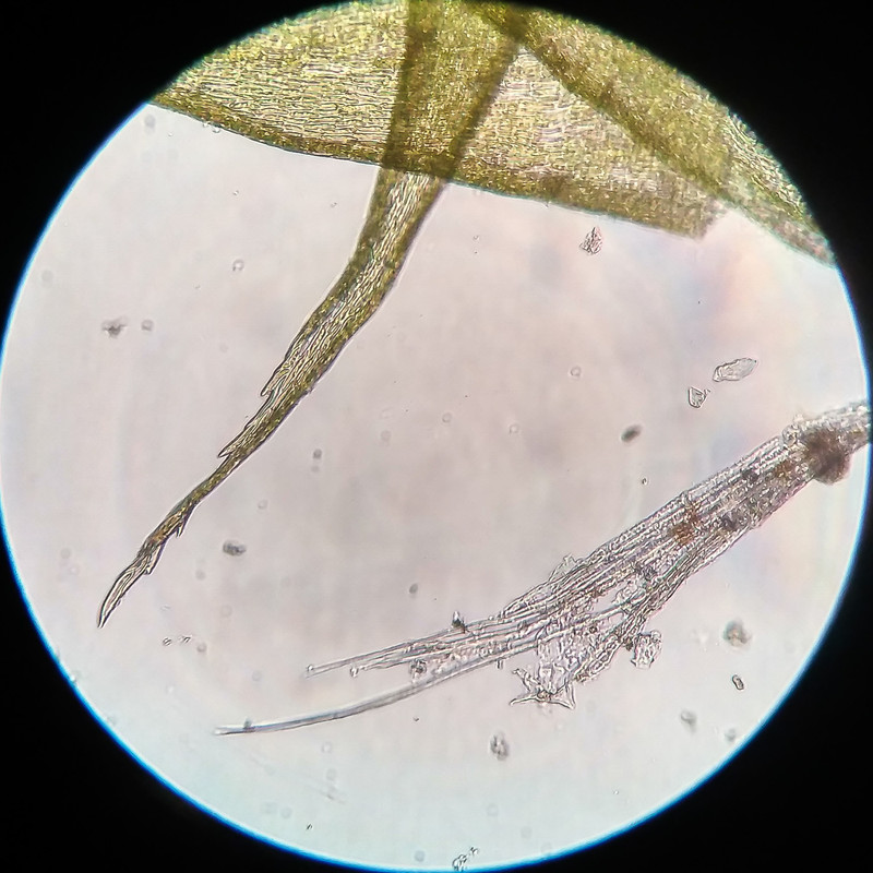 IMG 20250616 210924 HDR