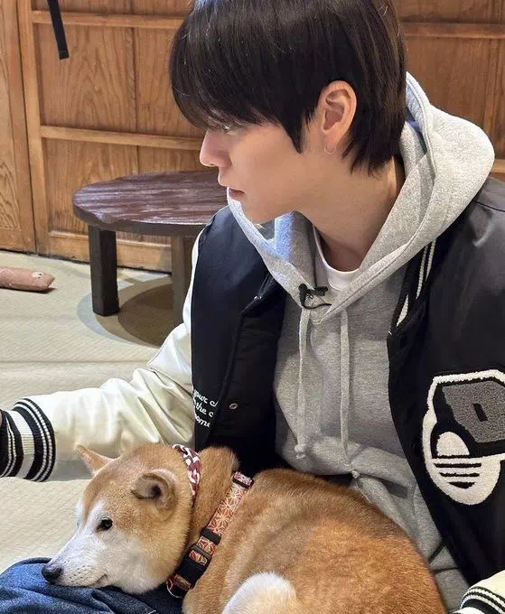 공지 2 | 인스티즈