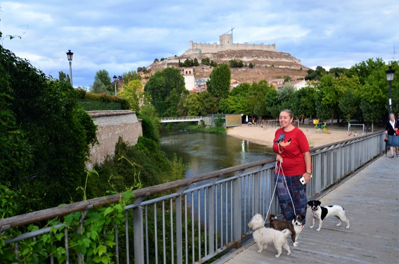 PEÑAFIEL-14-9-2022 - Valladolid y sus pueblos-2012/2016 (125)