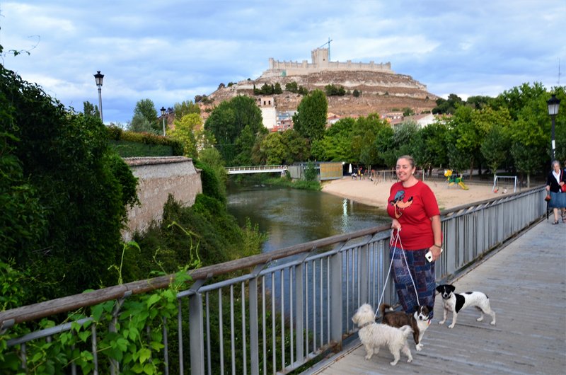 PEÑAFIEL-14-9-2022 - VALLADOLID Y SUS PUEBLOS-2012/2016 (125)