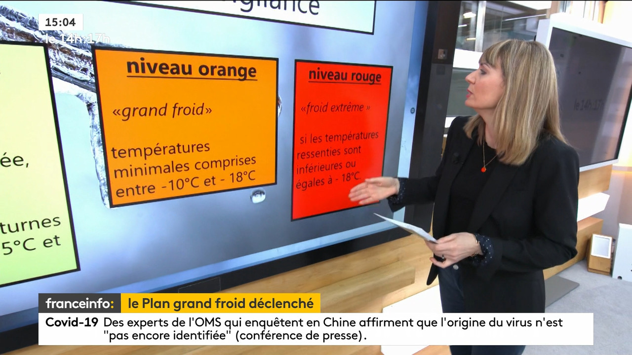 02.09 - 12.59.00 - Le 14h-17h. Au sommaire   Vrai ou fake. - francein..._001.ts_snapshot_00.02.229