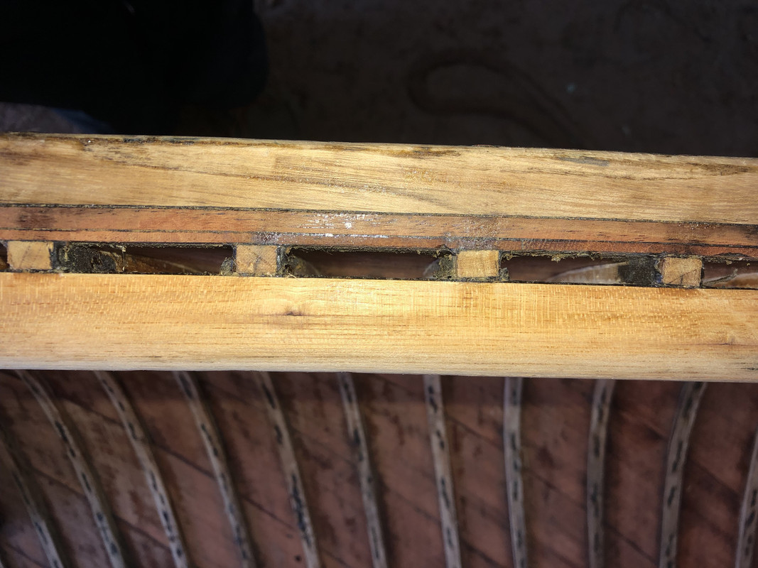 0A1C50ED-2ABC-458B-932C-BCF4DEB16E73