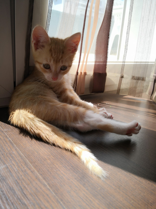 IMG-20190505-113432.jpg