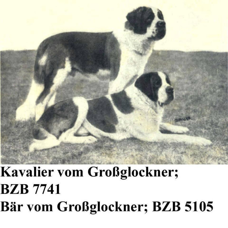 F58F9B8F-AD94-4E7B-AC97-B71E6CD4CD72
