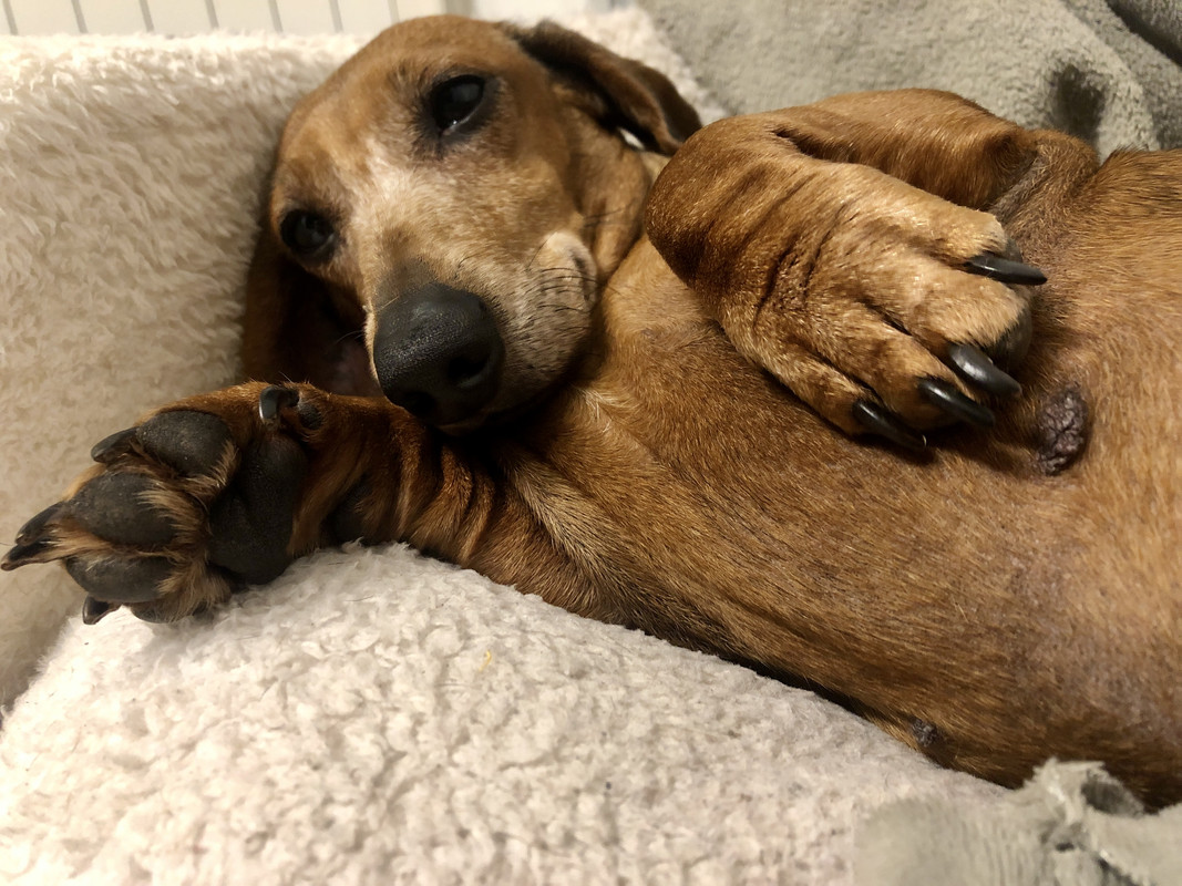 [Image: IMG-2855.jpg]