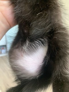 D3FD308E-14C7-40EE-B89C-148686893115