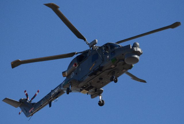 Lynx_20200417_4