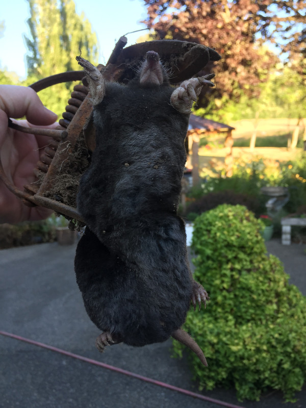 59D8939C-491B-4716-B856-DD0346847FDF