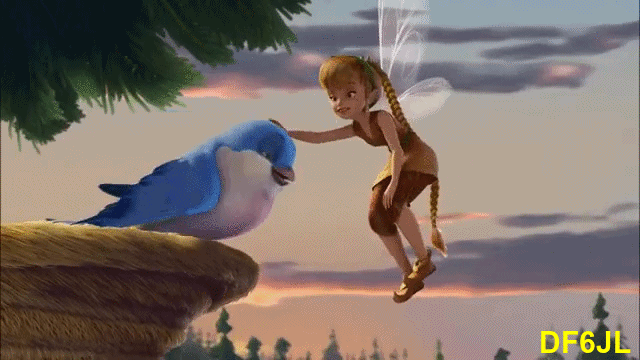 Tinker-Bell-Vogel-02