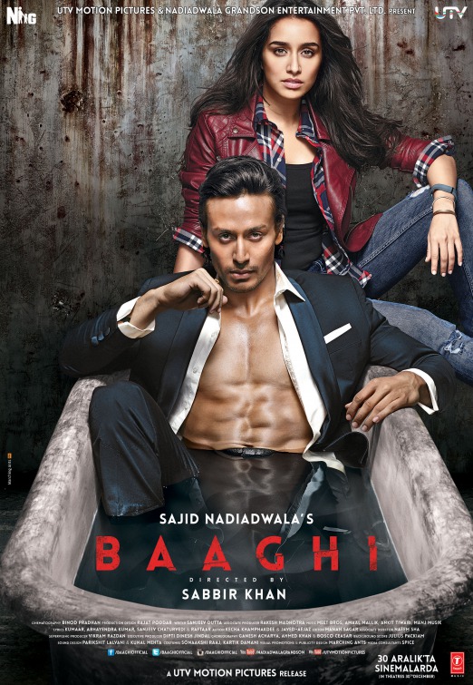 Baaghi (2016) Hindi Full Movie 720p BluRay x264 Download