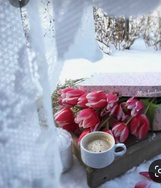 Screenshot_20230616_183021_Pinterest