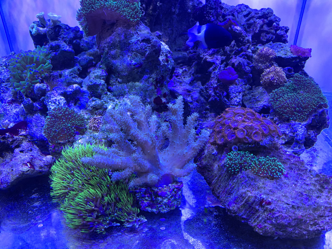 28DE4E07-3D9C-4790-B6F4-FF0FC418CFE6