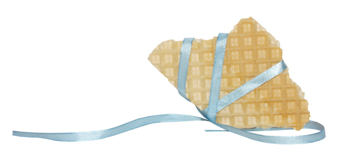 Maguette_NothingFades_el (74)