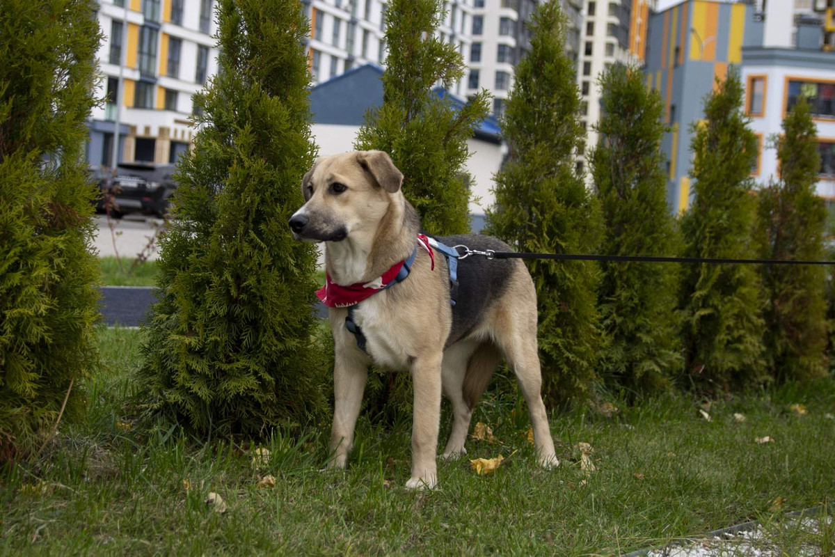 изображение_viber_2022-12-05_22-36-30-868