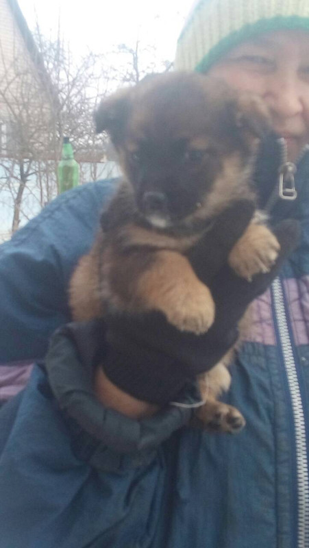 BBDDA4F3-FF4A-4BCB-92C0-624450C6FBB3