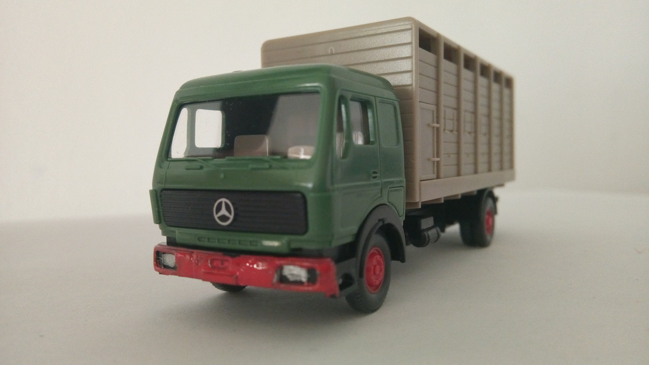 Mache (9263)
