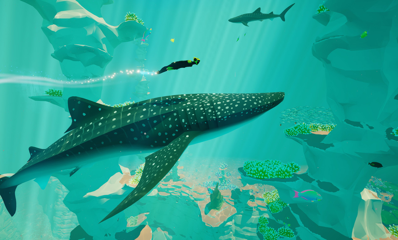 Whale-Shark.jpg