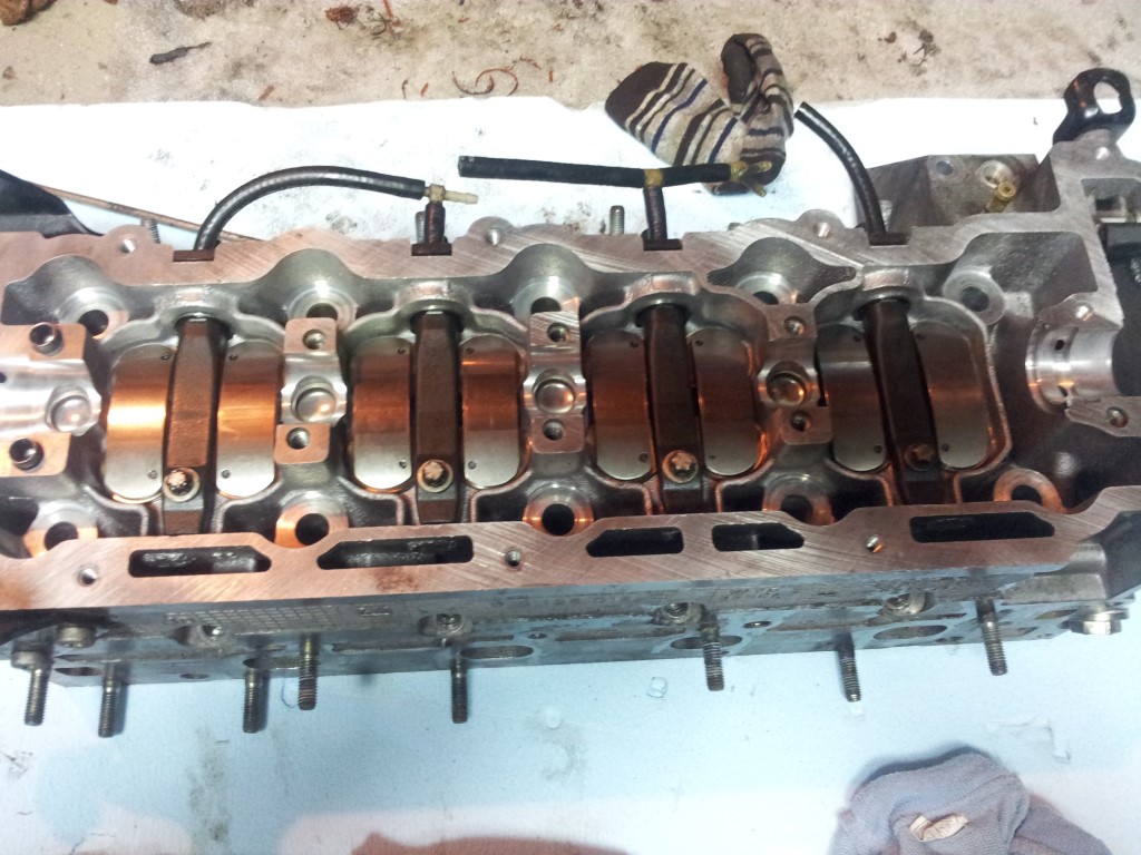 20151225_190233 (Medium)