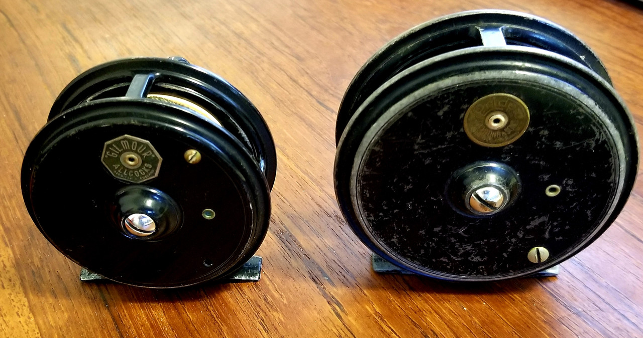 Young & Gilmour back