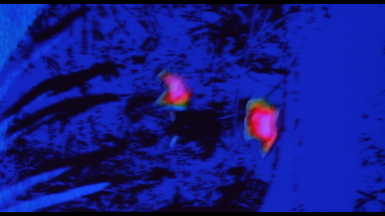 predator_ultimate_hunter_edition_16