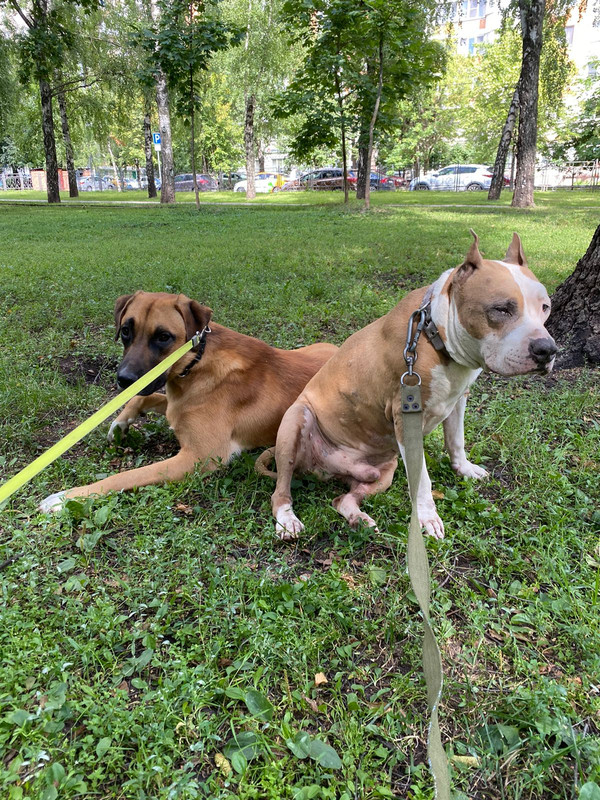 ED294AF5-9721-4C5B-B77F-DB5B891E9DD9