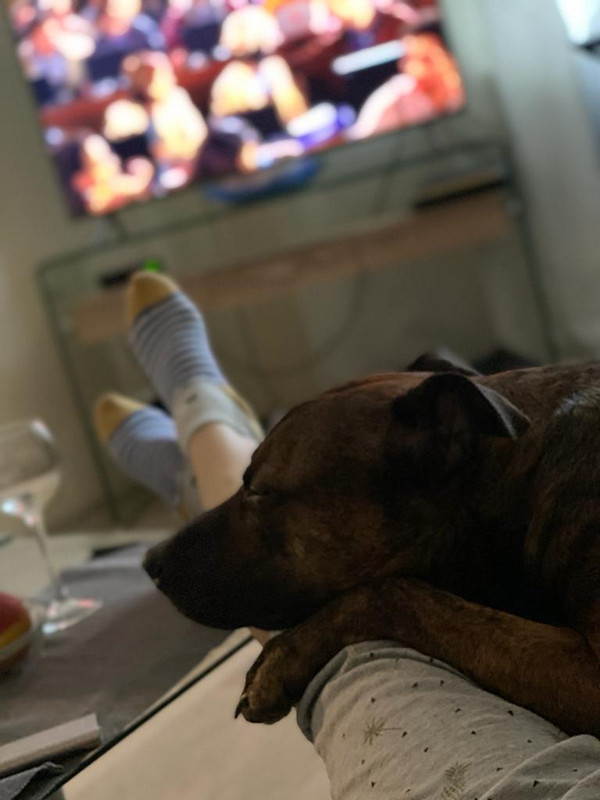 C850AA8F-07E9-4E3E-B55D-DAC887D16FC6