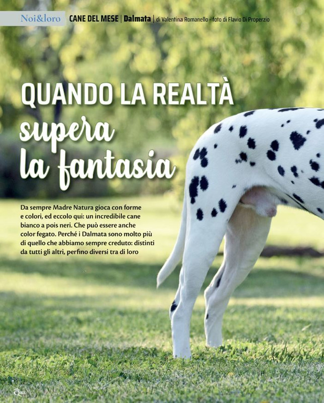 QuattroZampe Lug 2021 (9)