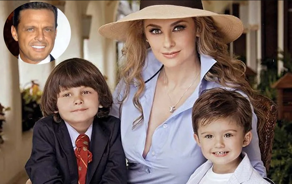 Luis Miguel no quiere pagar la millonaria pensión de sus hijos por esta razón