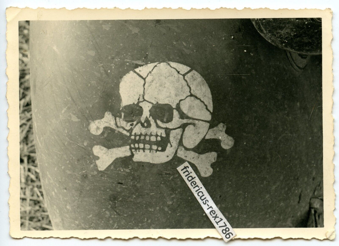 Foto T.-Div. LKW Kübelwagen PKW Kennung Wappen Skull