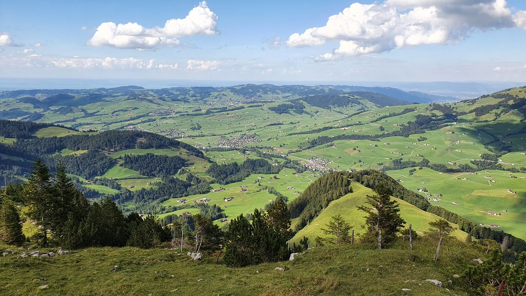 CHUR- HEIDIDORF- ÄSCHER- LINDAU (Alemania) - 50 sombras del verde en Suiza y Alemania (19)