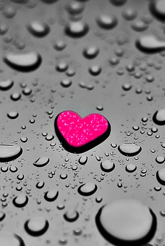 Screenshot_20230422_233027_Pinterest