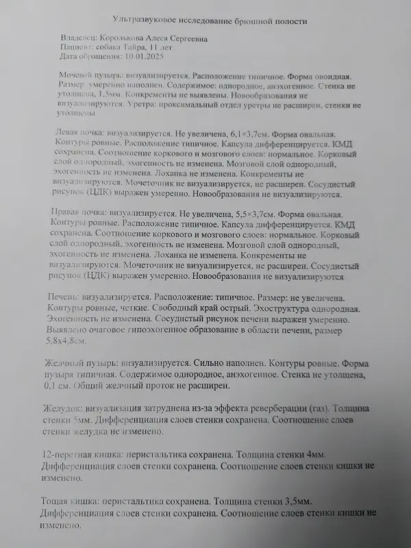 u2RNqkvZlOHSLFRcJu2oNJYQ91hkyrpmGe08HKJezwIsAAQsFQQJ7xpnVsKnmI8QER-rVyWFj7Wy2qymB1yiaoif