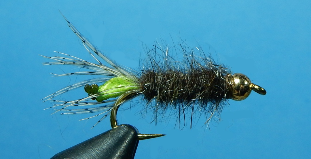 Peaking-Caddis-1080.jpg