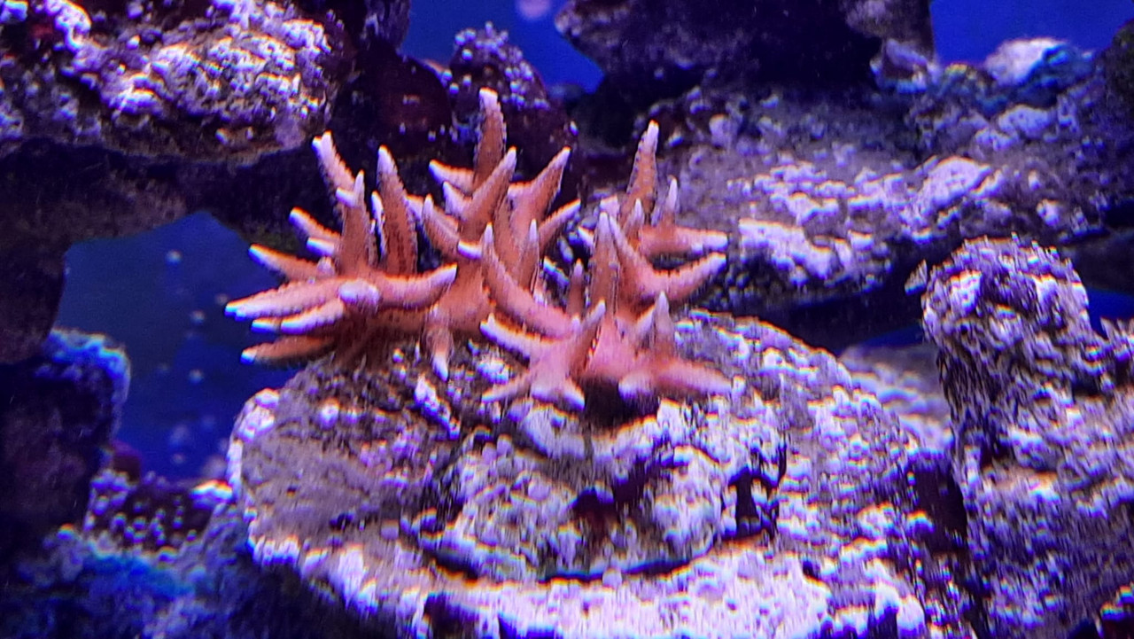 WhatsApp Image 2021-06-10 at 11.35.04 (3)