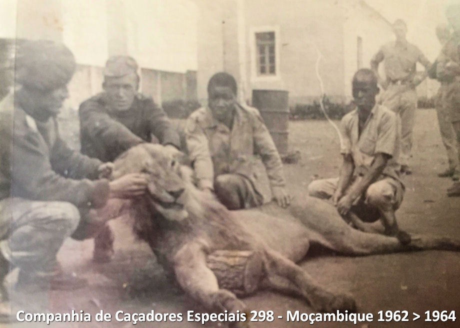 52823362-384514295693977-272137232477847552-n