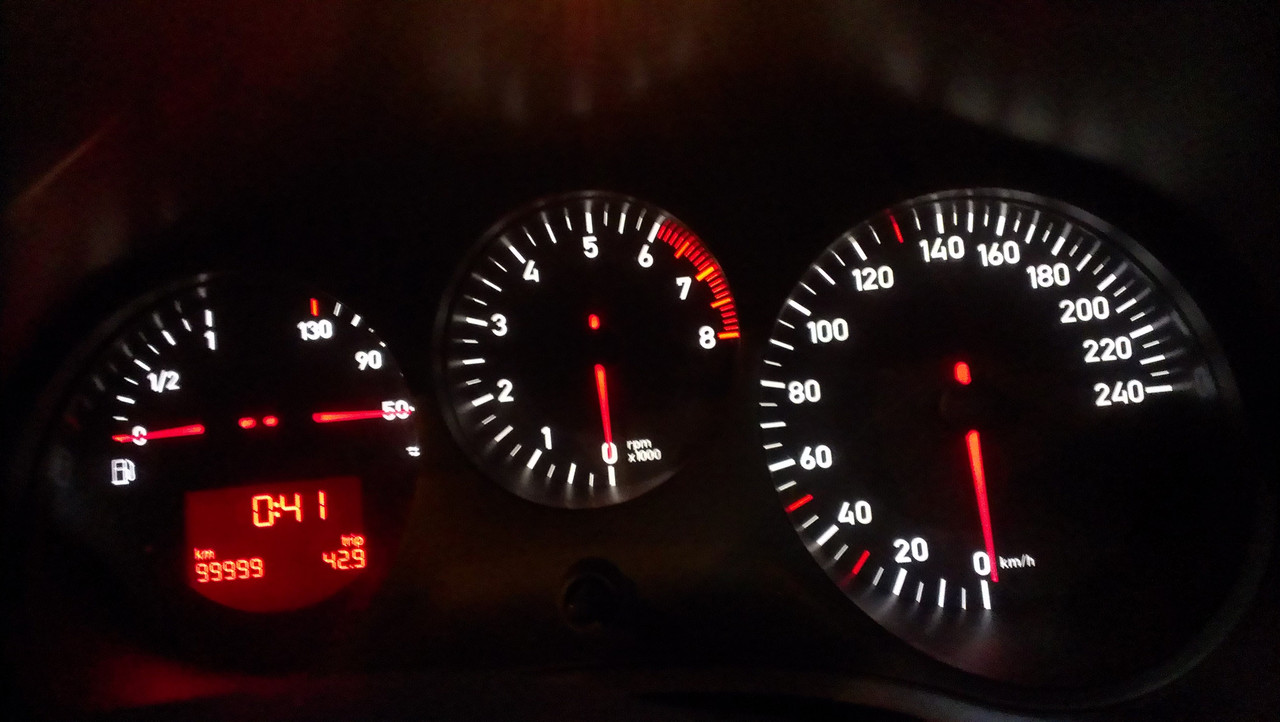 IMAG8731