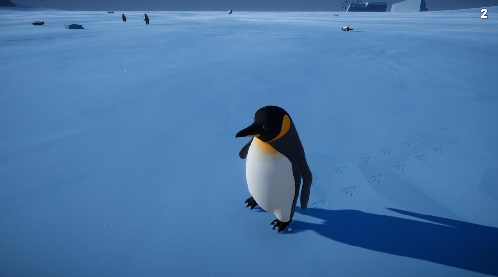 646434.jpg