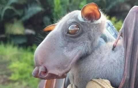 ���� ���� ������ �� ���� ������